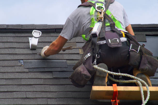 Best Shingle Roofing Installation  in Boulevard Gardens, FL