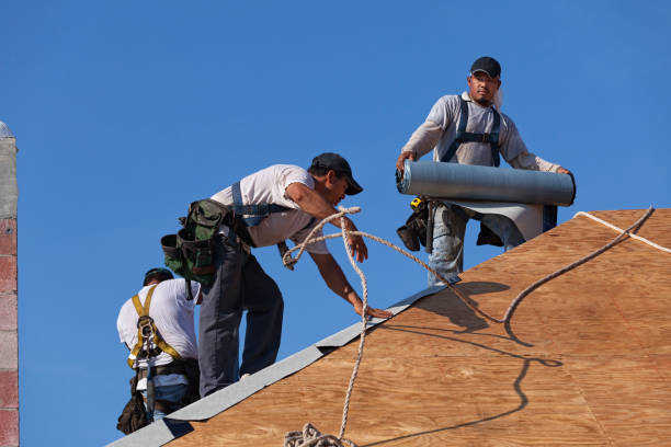 Quick and Trustworthy Emergency Roof Repair Services in Boulevard Gardens, FL