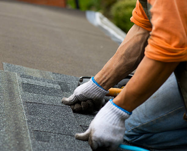 Best Residential Roofing Contractor  in Boulevard Gardens, FL