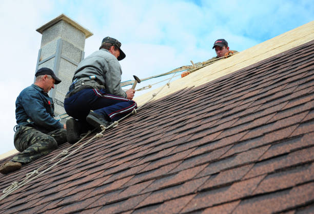 Gutter Installation and Roofing in Boulevard Gardens, FL